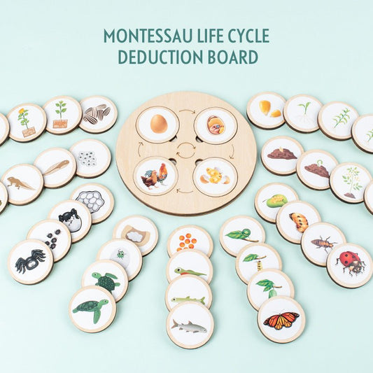 Christmas toys, gifts for children, wooden animals and plants, life cycle building blocks, puzzles, Montessori growth and evolution theory puzzle boards, cognitive toys - KIWI UNIVERS