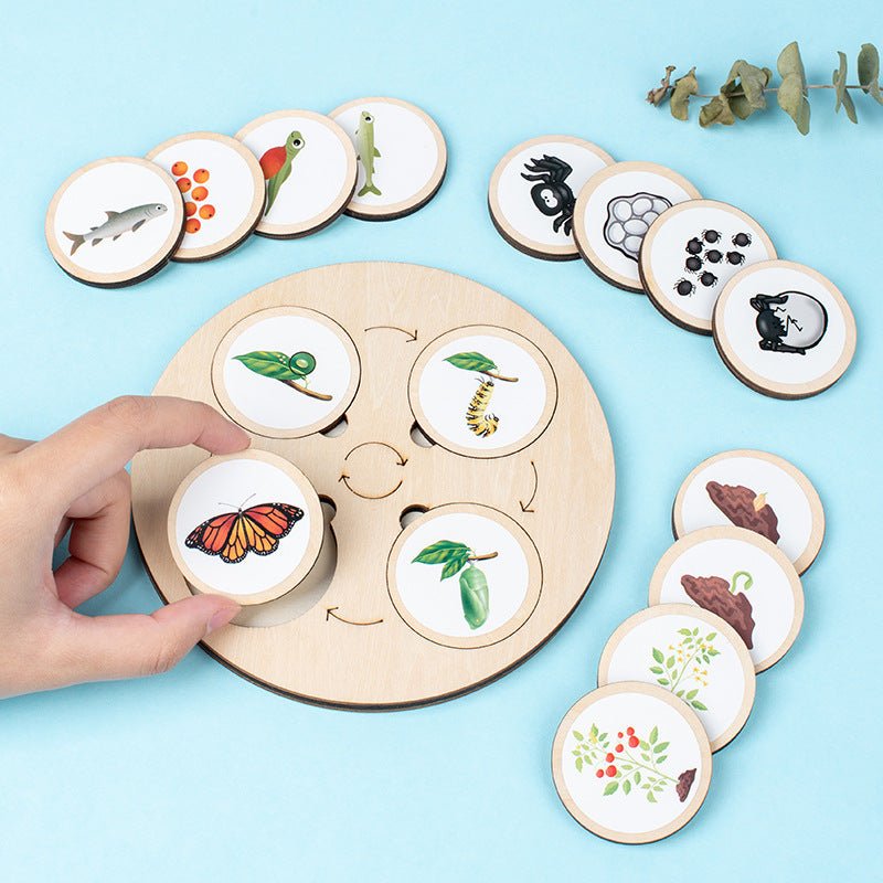 Christmas toys, gifts for children, wooden animals and plants, life cycle building blocks, puzzles, Montessori growth and evolution theory puzzle boards, cognitive toys - KIWI UNIVERS