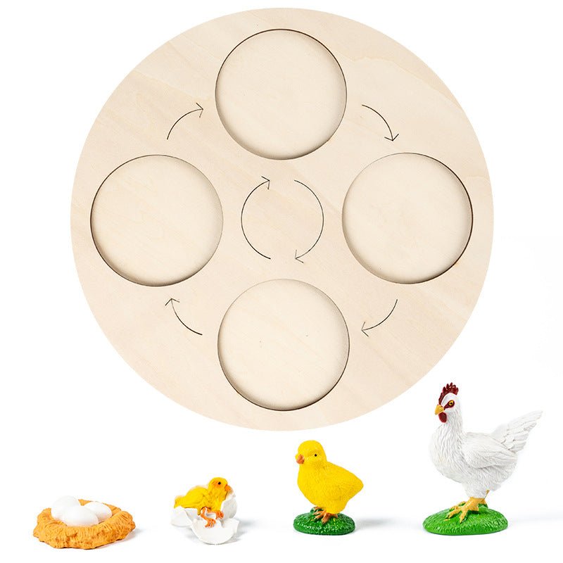 Science And Education Cognitive Toys 0.4 Simulation Animal And Plant Model Life Growth Cycle Teaching Aids For Young Children - KIWI UNIVERS