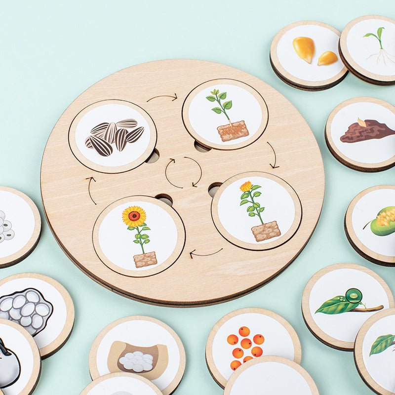 Christmas toys, gifts for children, wooden animals and plants, life cycle building blocks, puzzles, Montessori growth and evolution theory puzzle boards, cognitive toys - KIWI UNIVERS