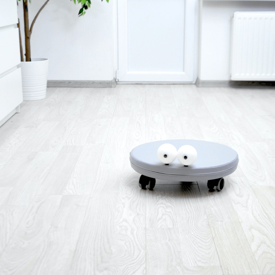 Jeu sur roues : plaisir et douceur en mouvement - KIWI UNIVERS
