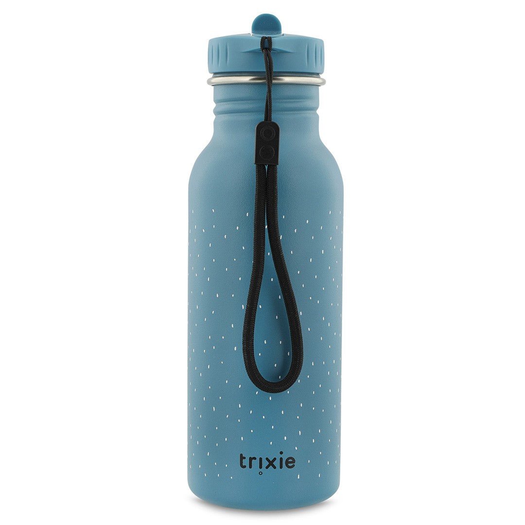 Stainless Steel Bottle 500 ml - Mr. Triceratops - KIWI UNIVERS