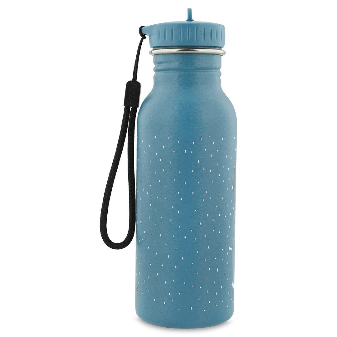 Stainless Steel Bottle 500 ml - Mr. Triceratops - KIWI UNIVERS